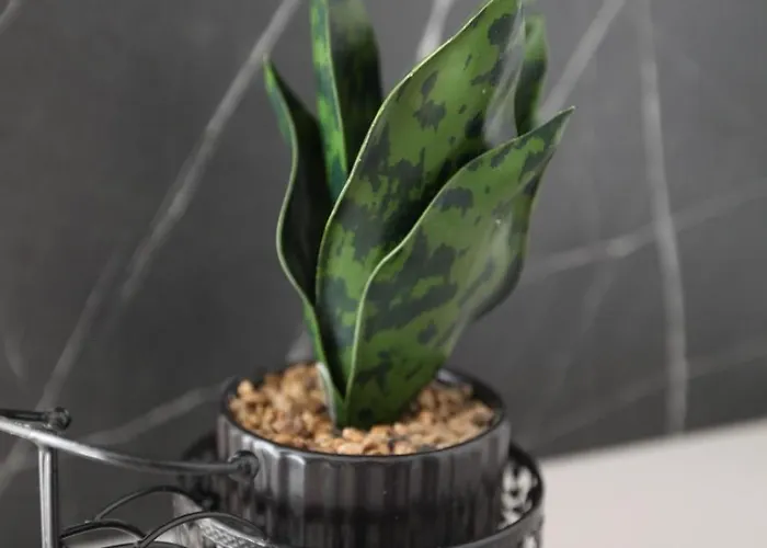 Apartment Ivana Trogir