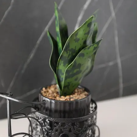 Apartment Ivana Trogir